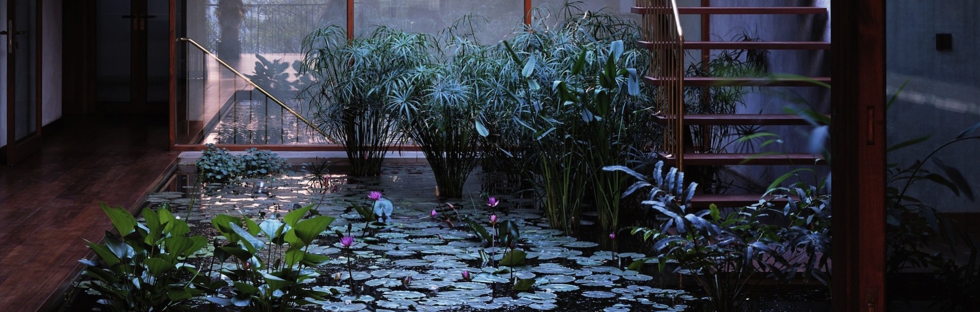 jungle inspirations