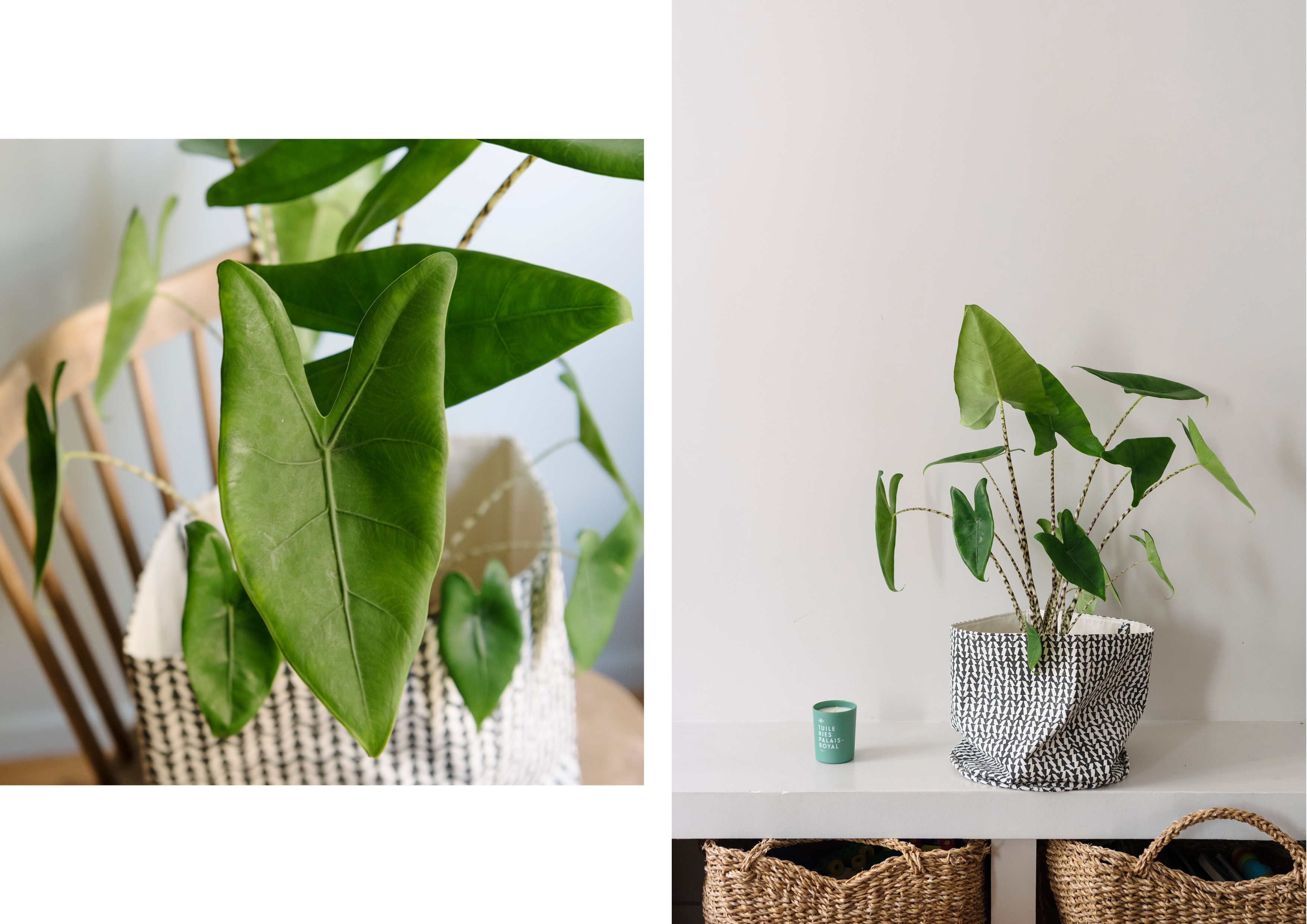 geometric pot holder Ashu