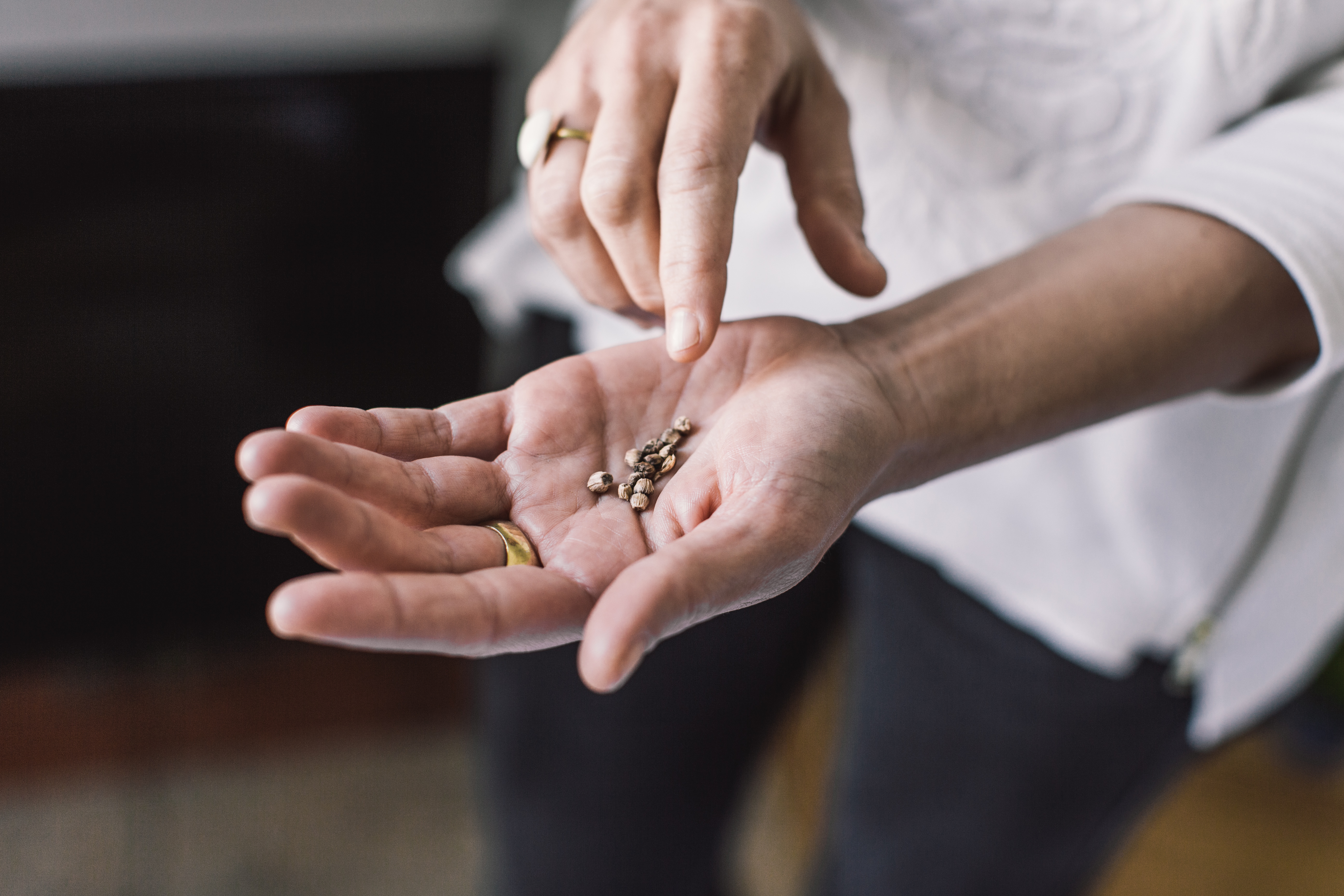 seeds in hand