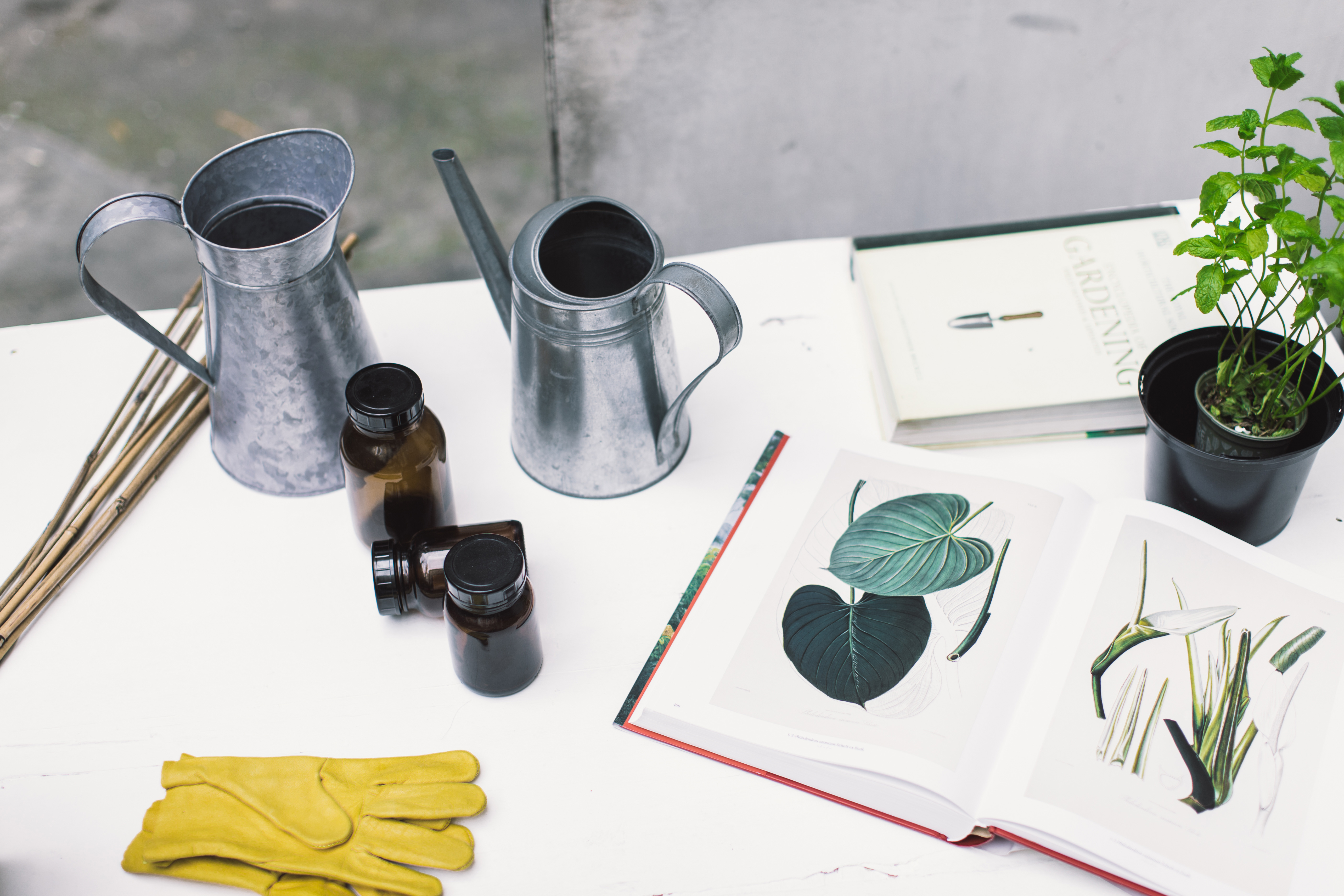 gardening items