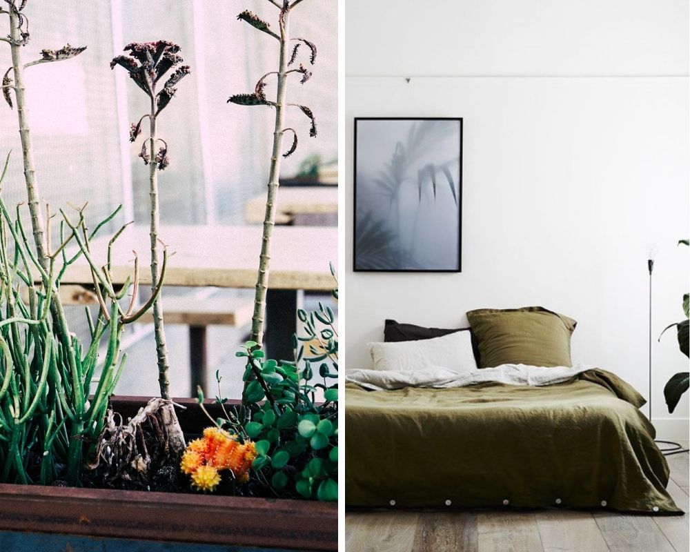 Plants and polished concrete